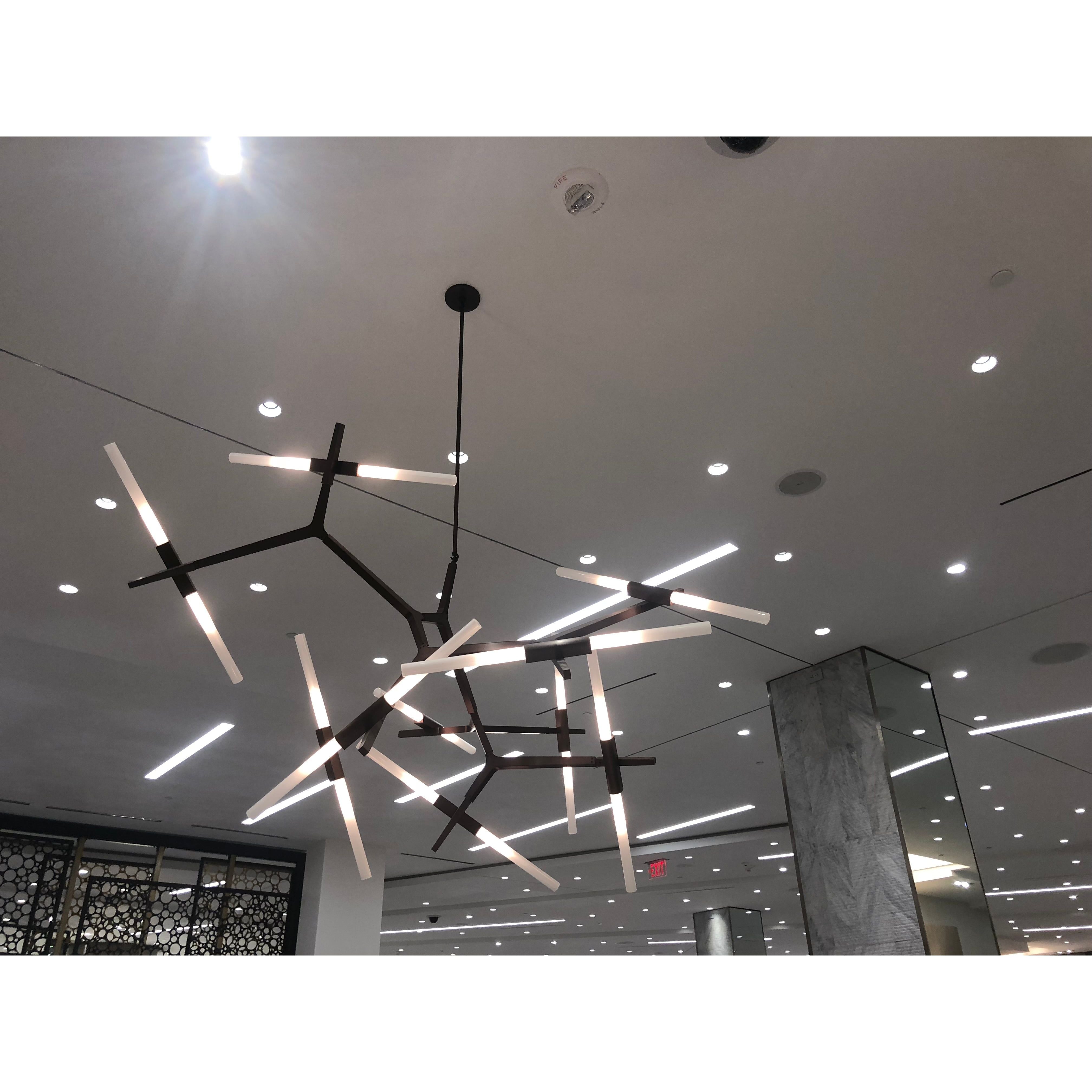 Hudson Branching Glass Cylinder Chandelier