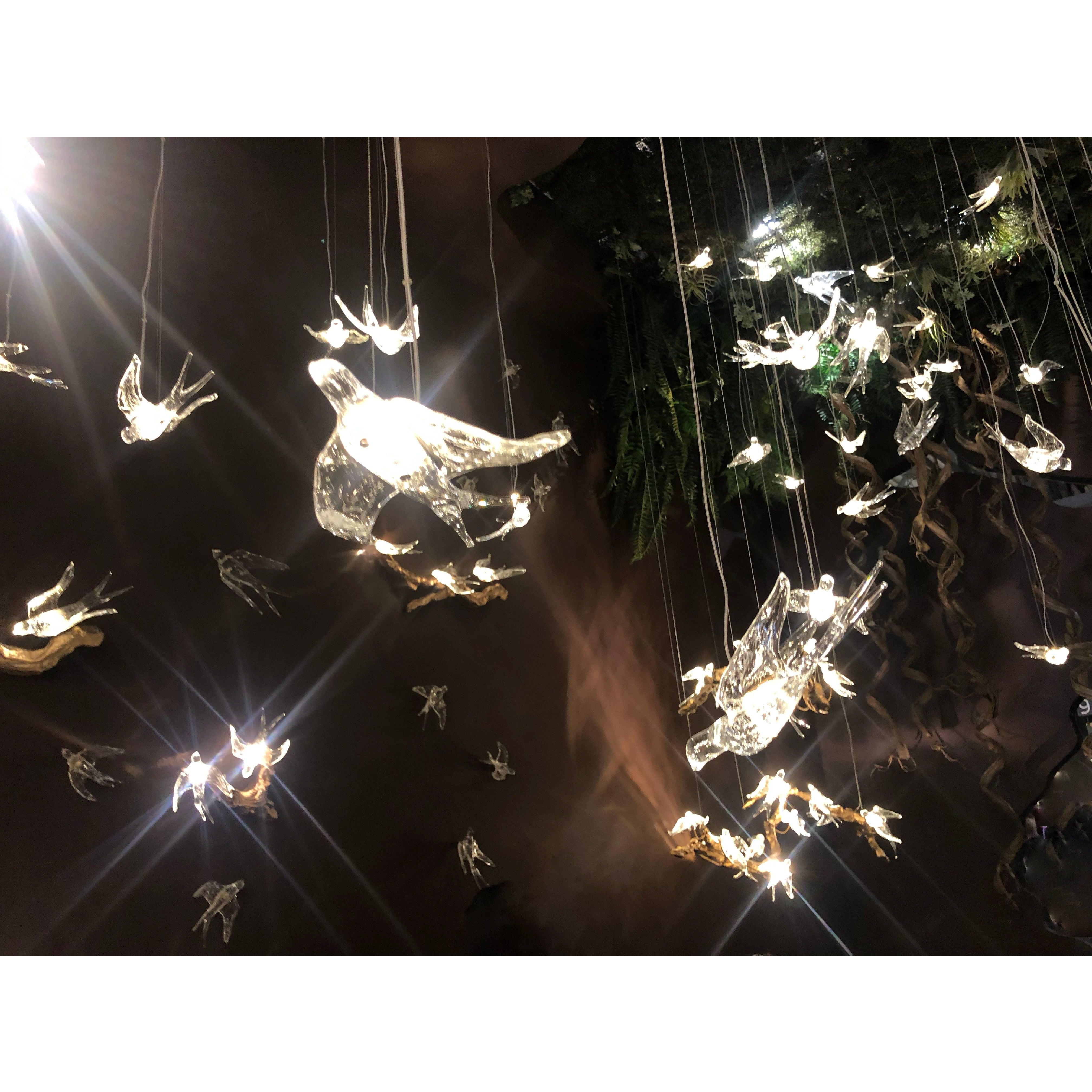 Bird Song Branching Round Teardrop Chandelier - Italian Concept